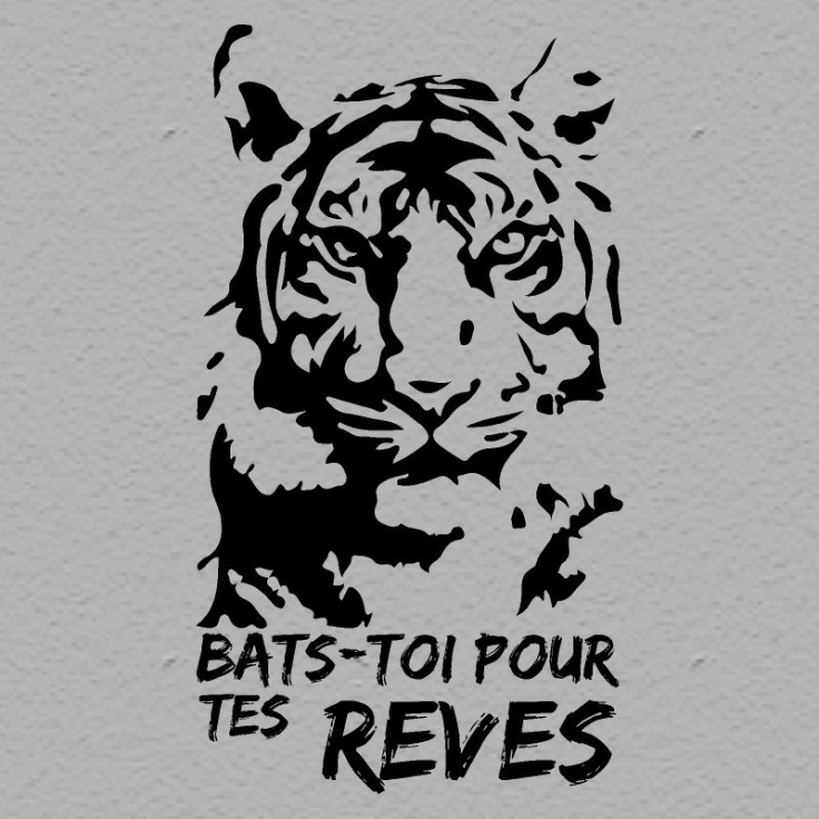Tigre bats-toi