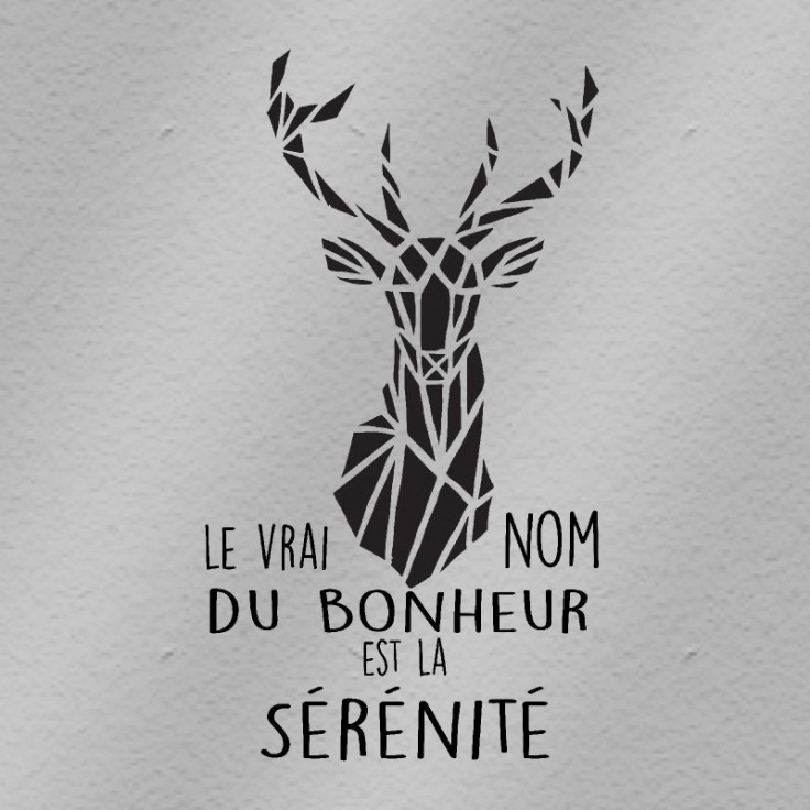 Cerf sérénité