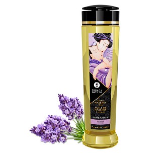Huile de massage Sensation - Shunga
